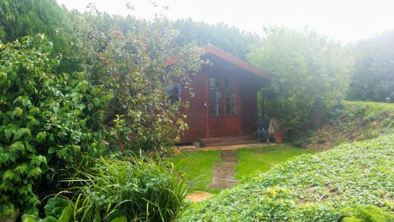 Bridge Farm Guesthouse Rooms Dundry Exterior photo